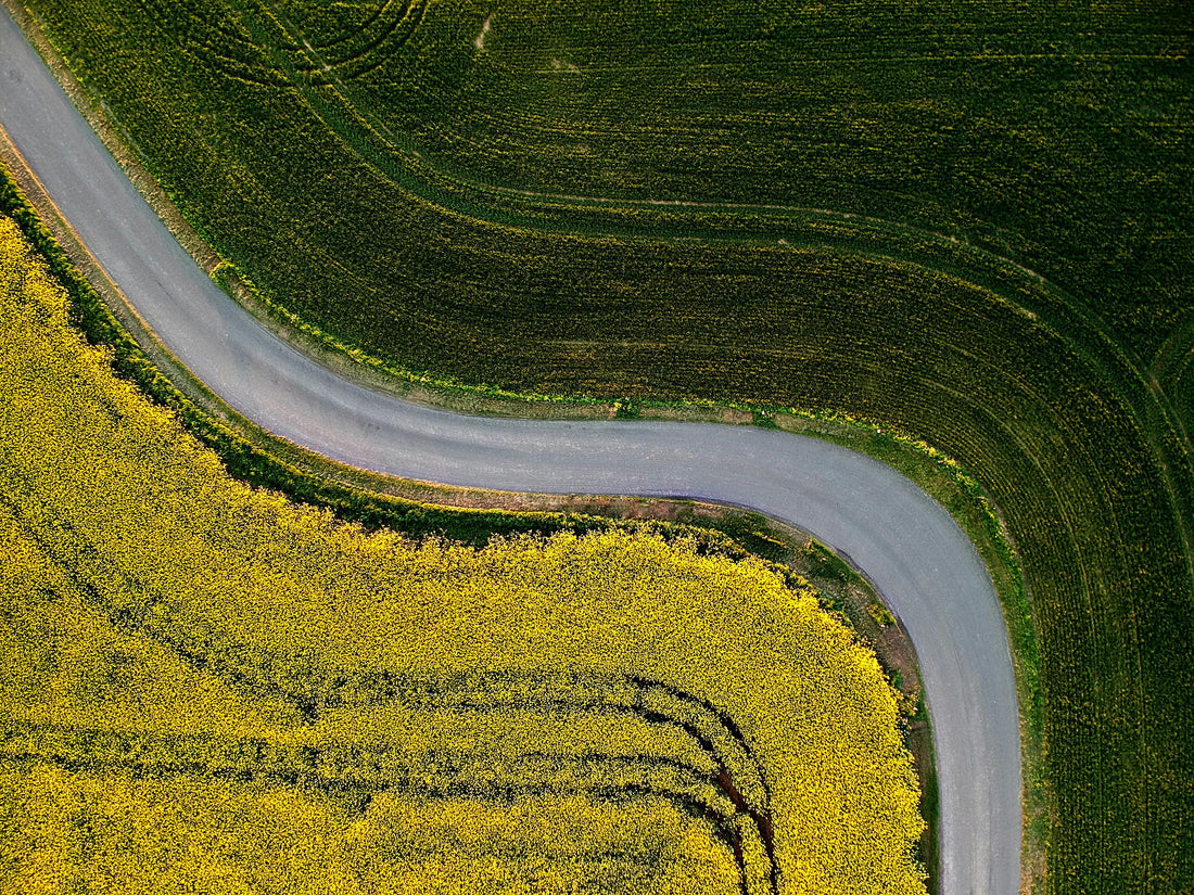 The Required Skills and Competencies of an Agricultural Drone Pilot in New Zealand
