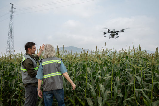 Drone pilot trainer and trainee spraying crops