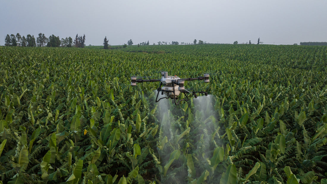 What Kiwi Drone Pilots Are Saying on Reddit: Top Tips from r/drones and r/newzealand