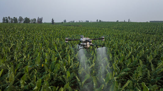 What Kiwi Drone Pilots Are Saying on Reddit: Top Tips from r/drones and r/newzealand